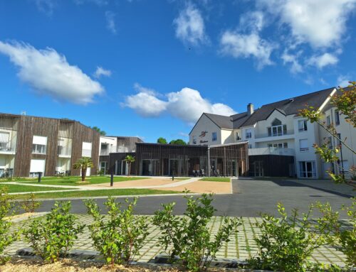 Impact of the immune system on the brain of children